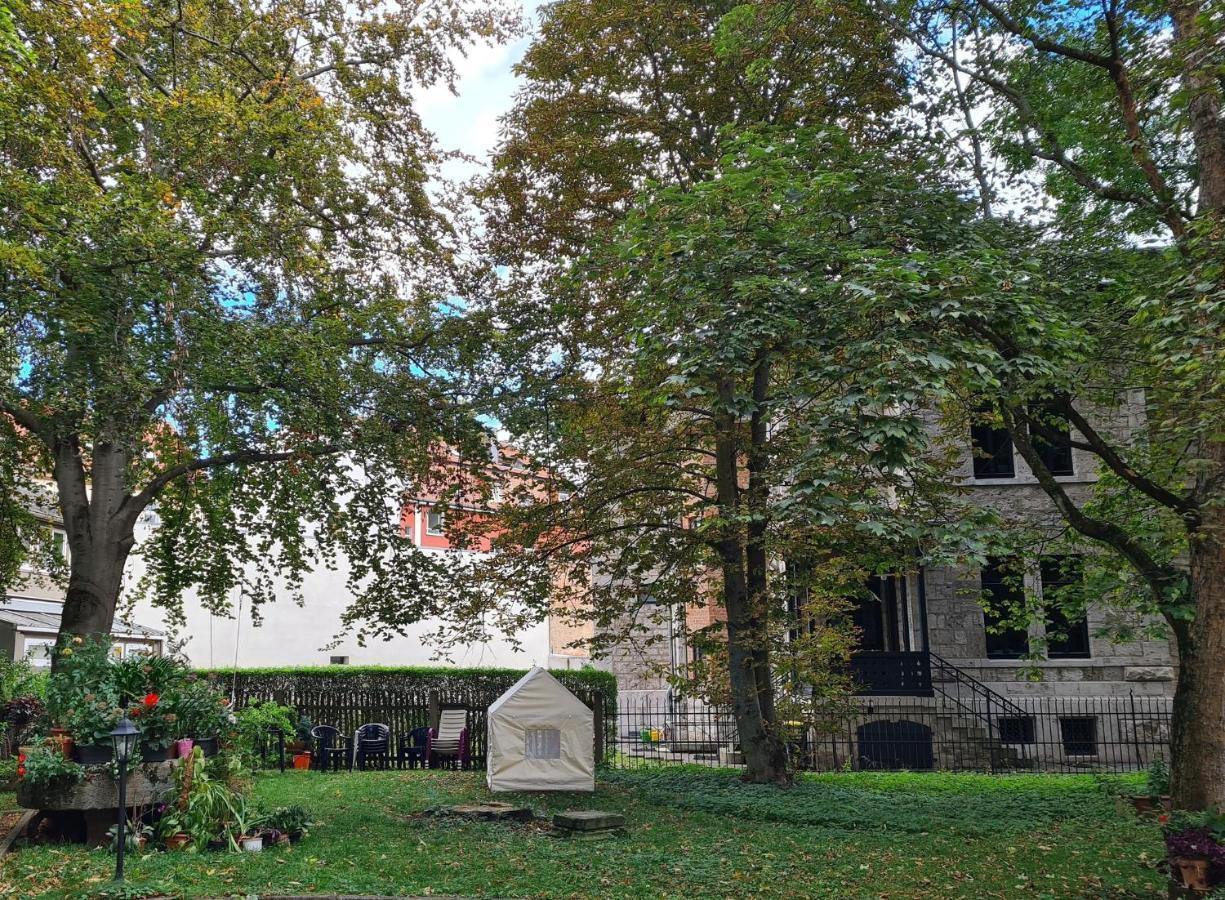 Apartment Ferienwohnung Fallersleben In Weimar - Unmittelbare Zentrumsmnahe - A46771